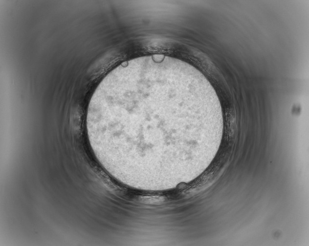 X0000099230266200805221842