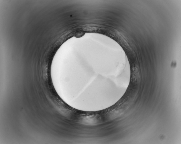 X0000099230267200805221842