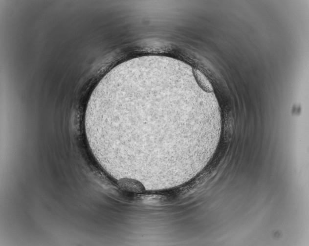 X0000099230268200805221842