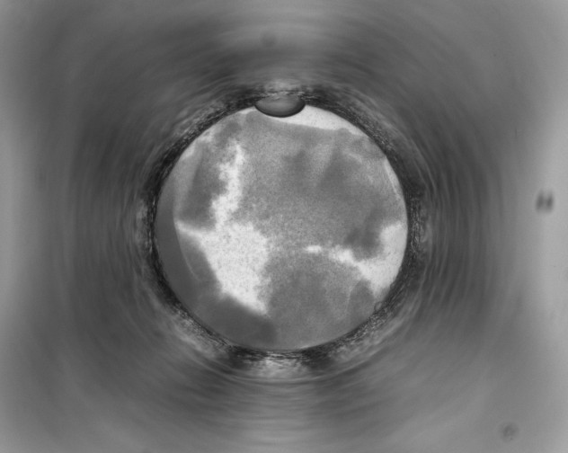 X0000099230270200805221842