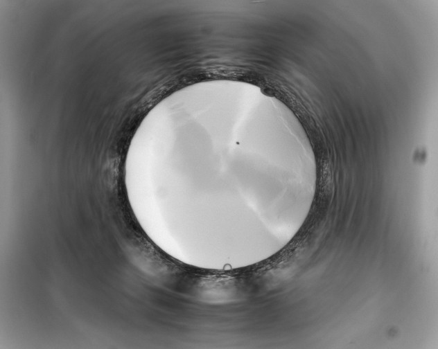 X0000099230271200805221842