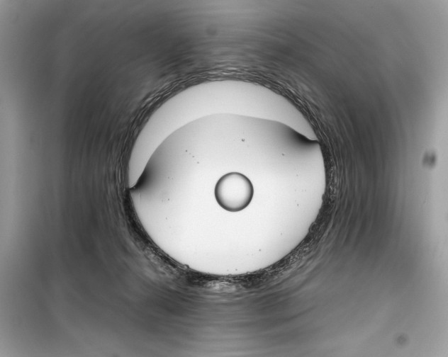 X0000099230272200805221842