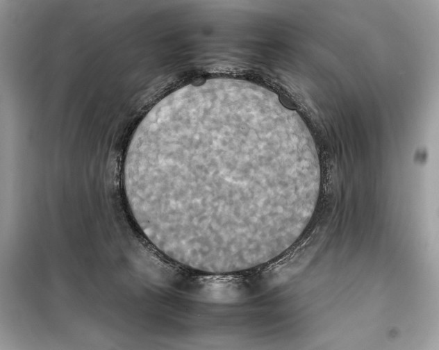 X0000099230273200805221842