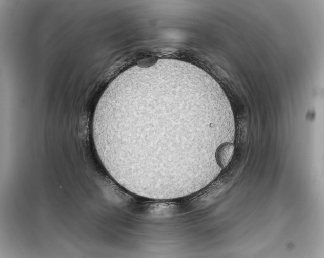 X0000099230274200805221842