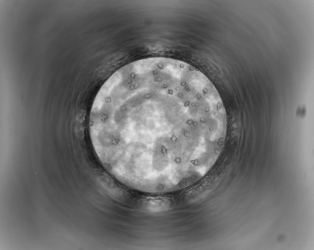 X0000099230275200805221842