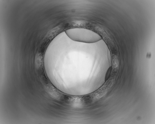 X0000099230276200805221842