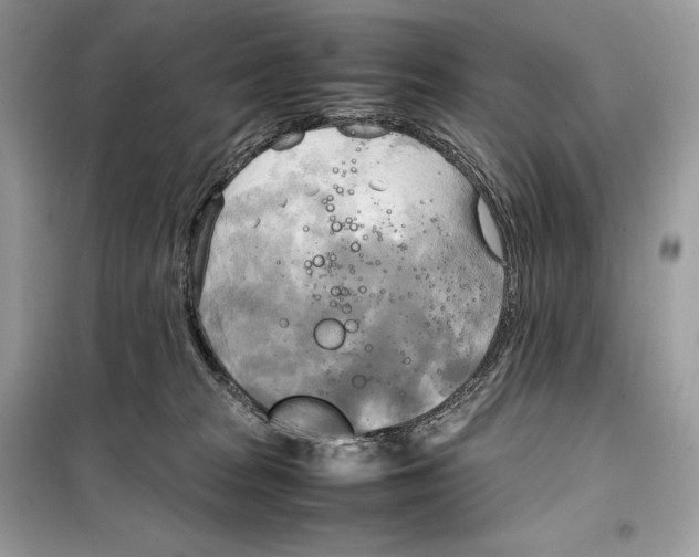 X0000099230277200805221842