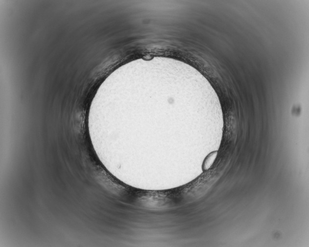 X0000099230278200805221842