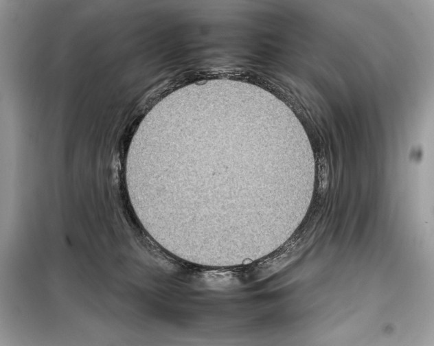 X0000099230279200805221842