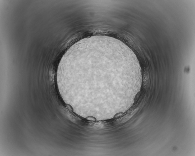 X0000099230282200805221842