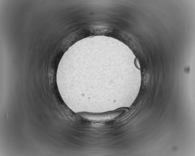 X0000099230283200805221842