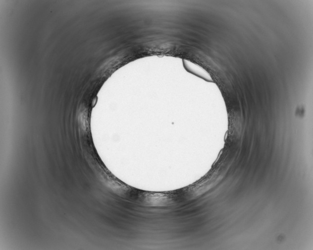 X0000099230287200805221842