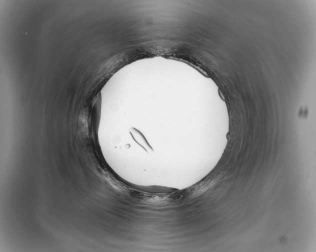 X0000099230288200805221842