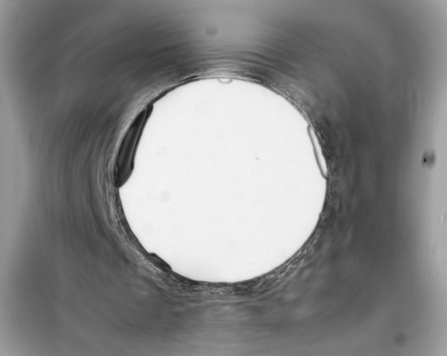 X0000099230289200805221842