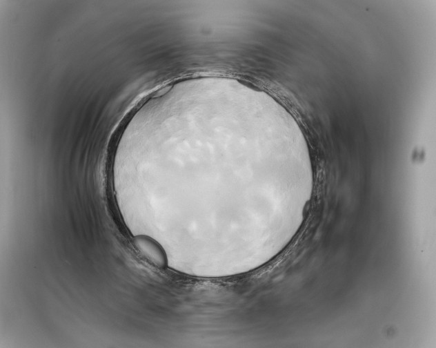 X0000099230290200805221842