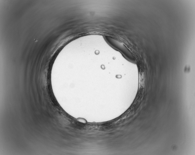 X0000099230291200805221842