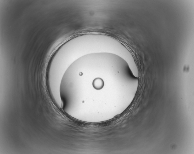 X0000099230293200805221842