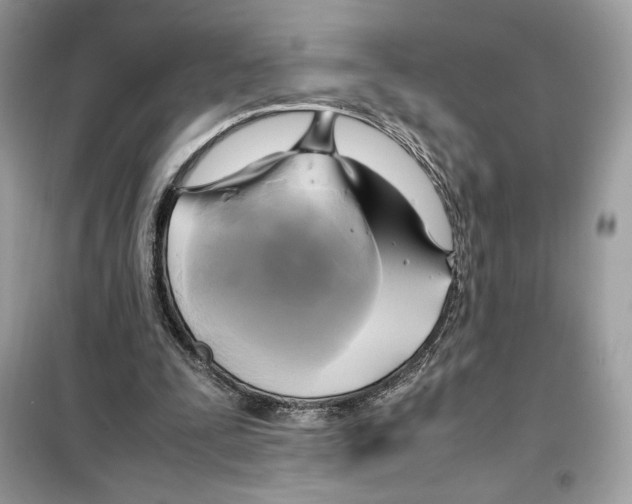 X0000099230295200805221842