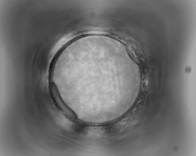 X0000099230296200805221842