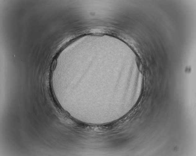 X0000099230297200805221842