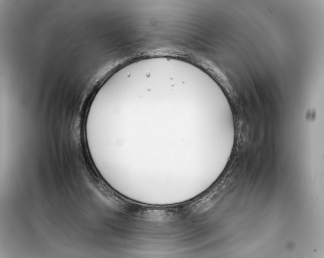 X0000099230298200805221842