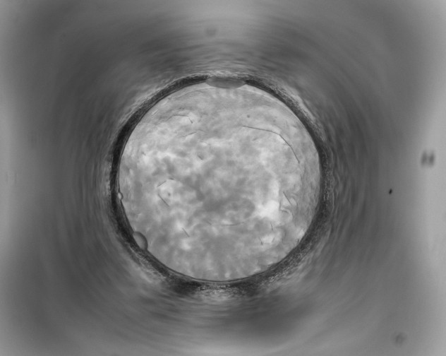 X0000099230299200805221842