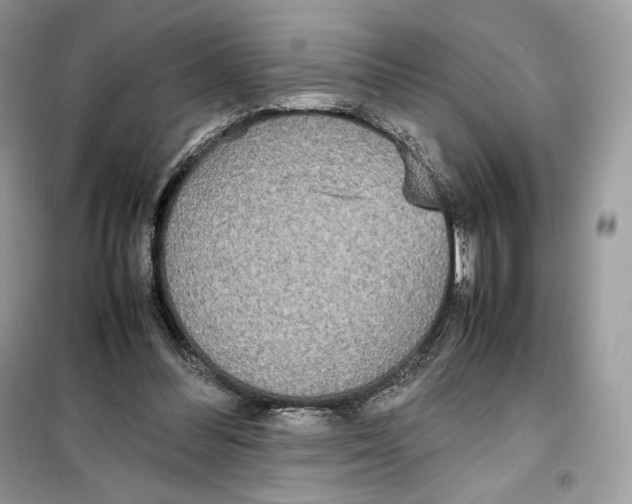 X0000099230300200805221842