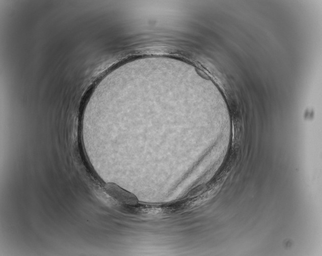 X0000099230301200805221842