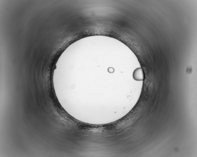 X0000099230306200805221842