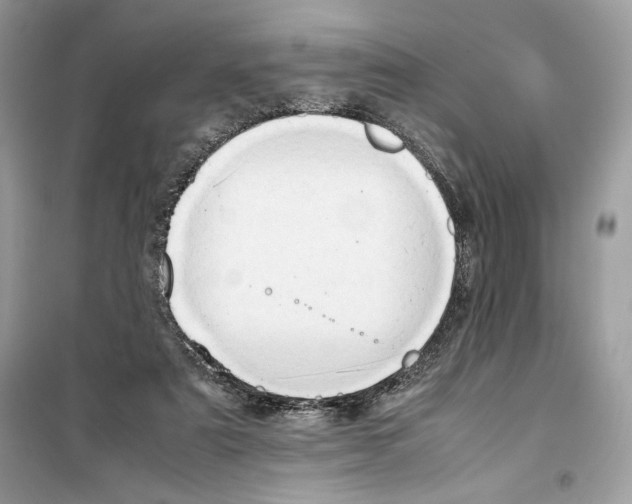 X0000099230307200805221842