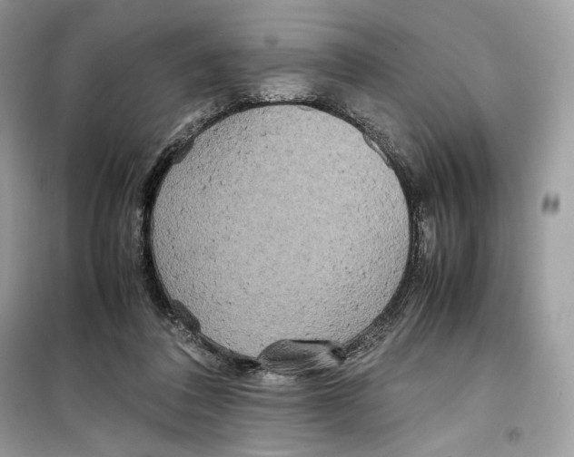 X0000099230308200805221842