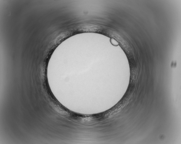 X0000099230309200805221842