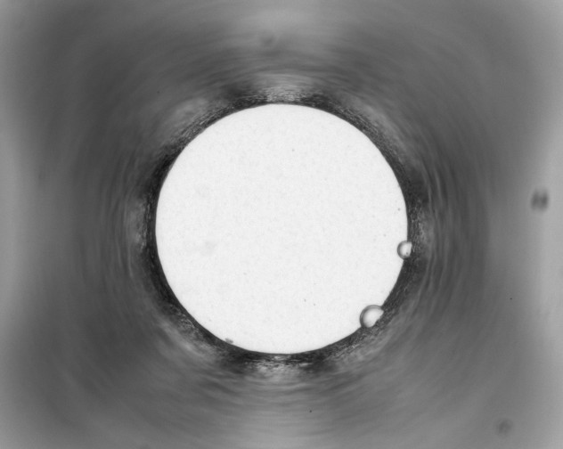 X0000099230311200805221842