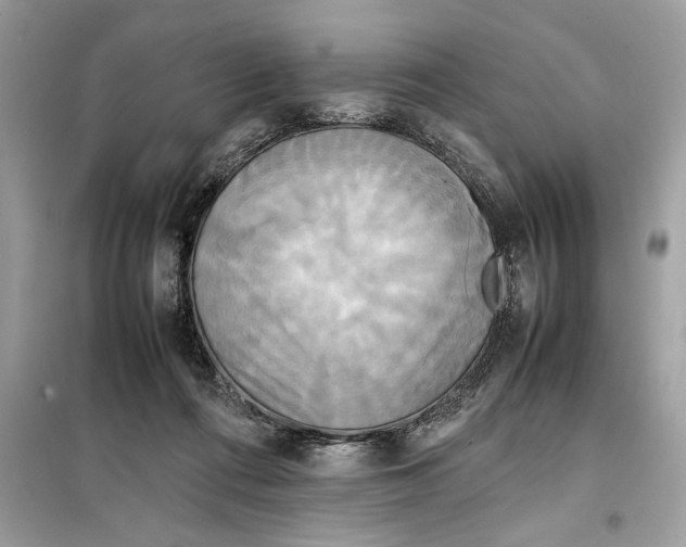 X0000099230312200805221842