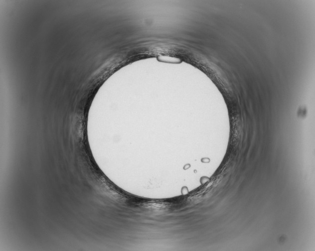 X0000099230313200805221842