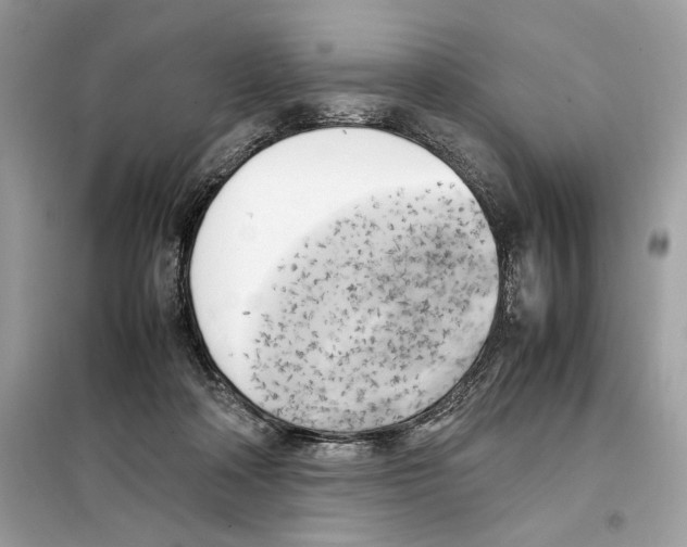 X0000099230314200805221841