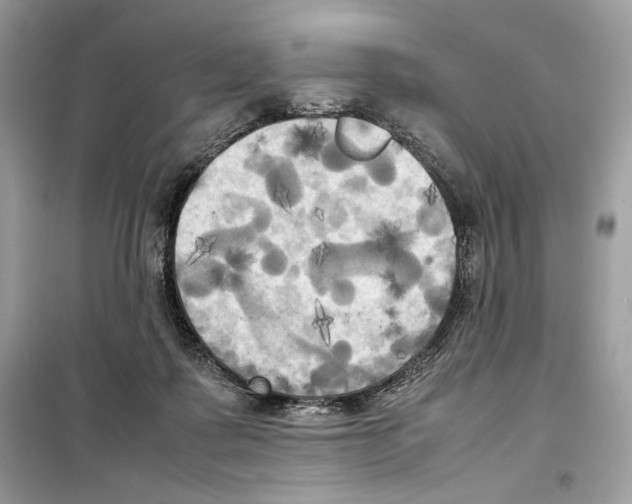 X0000099230315200805221841
