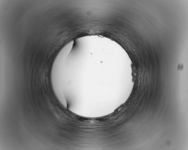 X0000099230316200805221841