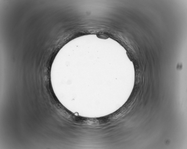 X0000099230317200805221841