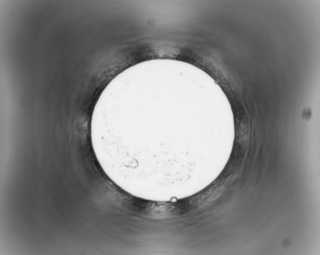 X0000099230321200805221841