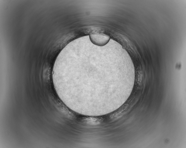 X0000099230326200805221841