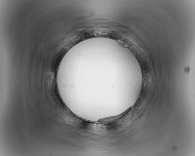 X0000099230327200805221841