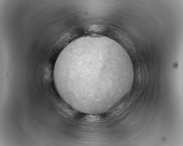 X0000099230328200805221841