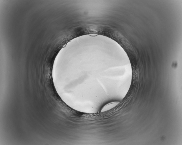 X0000099230331200805221841