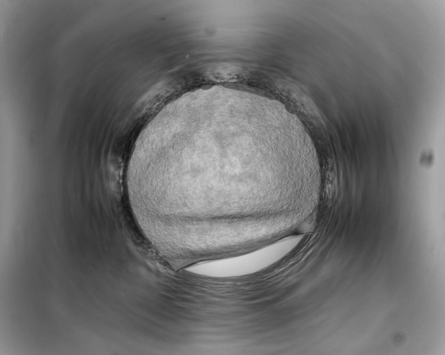 X0000099230332200805221841