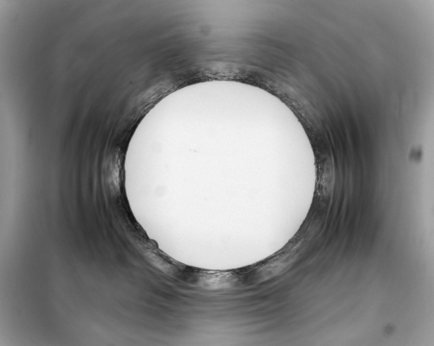 X0000099230334200805221841