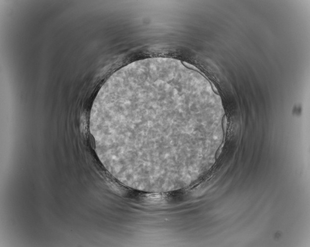 X0000099230335200805221841