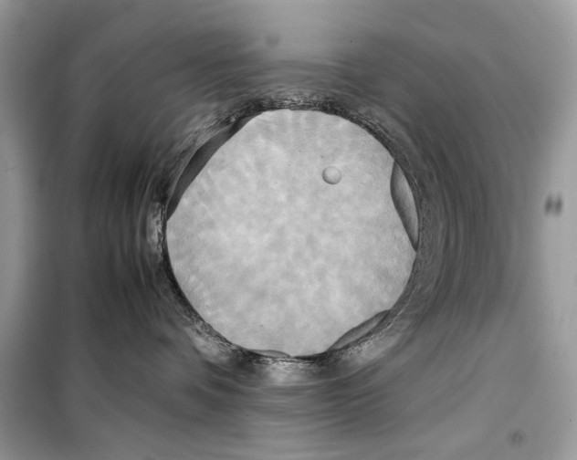 X0000099230336200805221841