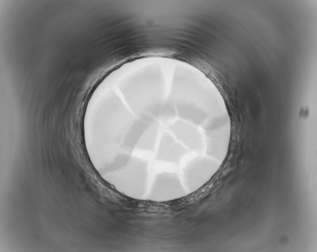 X0000099230337200805221841