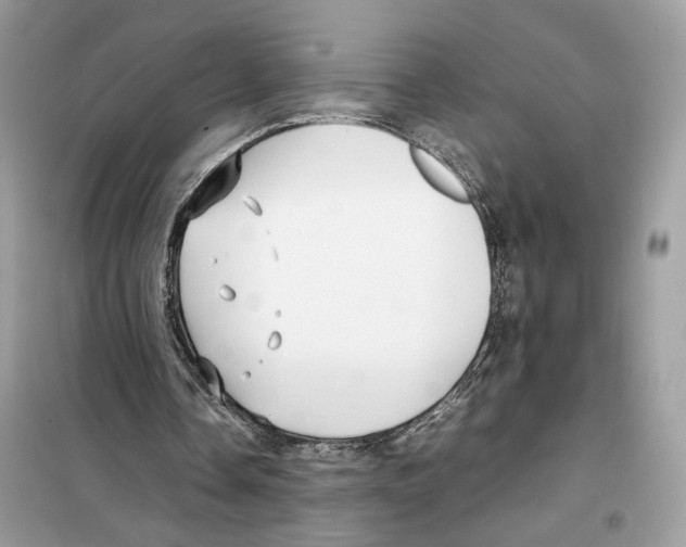 X0000099230338200805221841